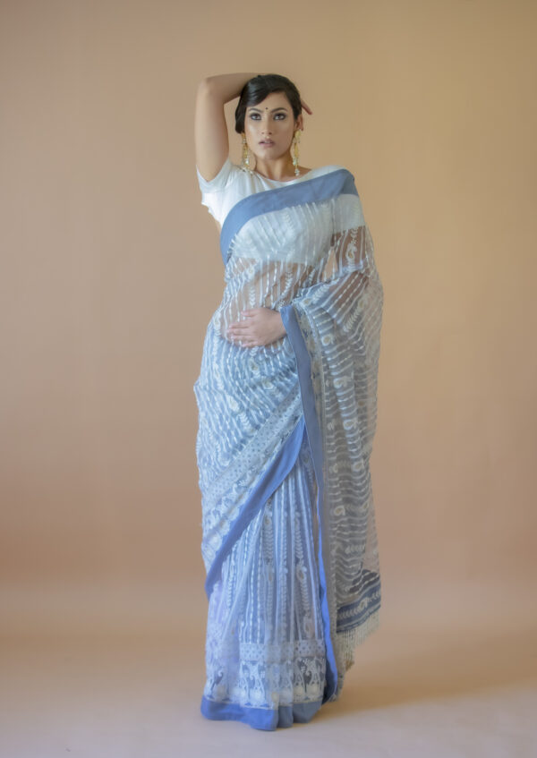 Pastel Chikankari Saree